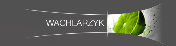 wzorniki - wachlarzyki